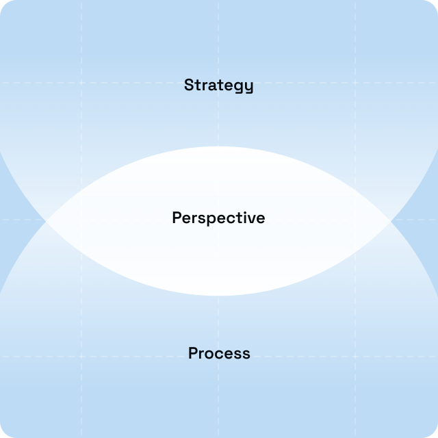 Strategy, perspective, and process overlap diagram