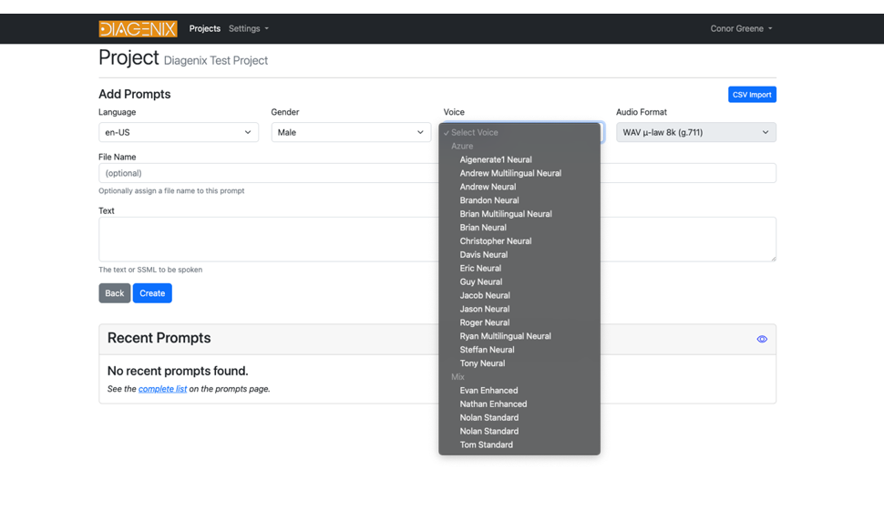SimpleSpeak prompt editor