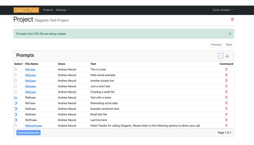SimpleSpeak project management screen